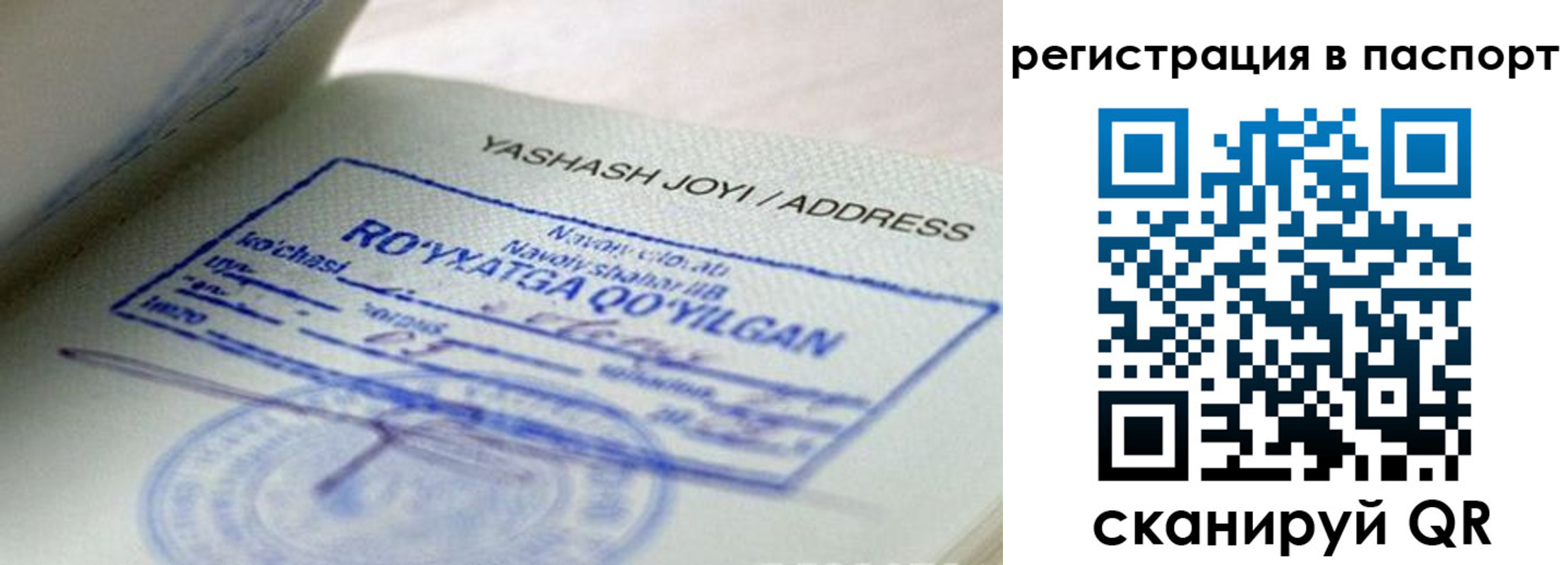 временная регистрация надежно в Железногорск-Илимском